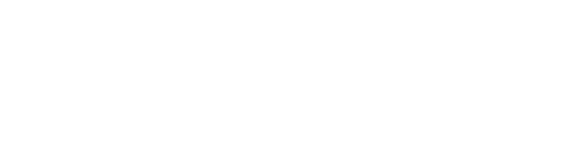 BCISM